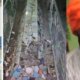 Bijnor - Suspicious Muslim PFI members wearing saffron safa broke the conspiracy to spread riot